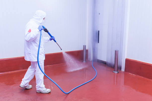 Best Sidewalk and Walkway Cleaning  in Navarre, FL